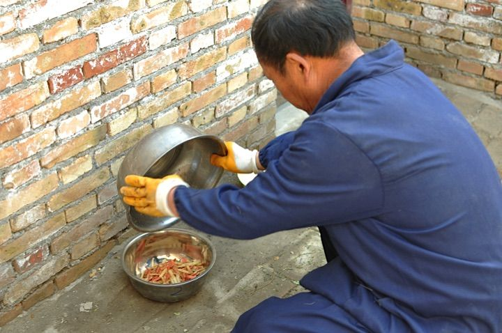 林麝饲喂